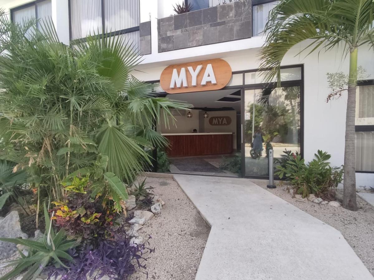 Nuevo Estudio Con Terraza Totalmente Equipado Tulum Aldea Zama Extérieur photo